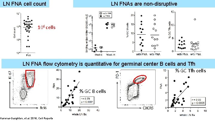 LN FNA cell count LN FNAs are non-disruptive 106 cells FNA flow cytometry is