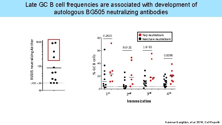 Top neutralizers Non/Low neutralizers % GC B cells BG 505 neutralizing Ab titer Late