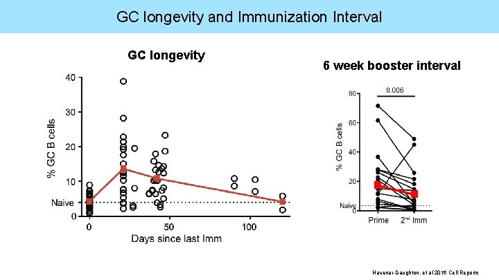 GC longevity and Immunization Interval GC longevity 6 week booster interval Havenar-Daughton, et al