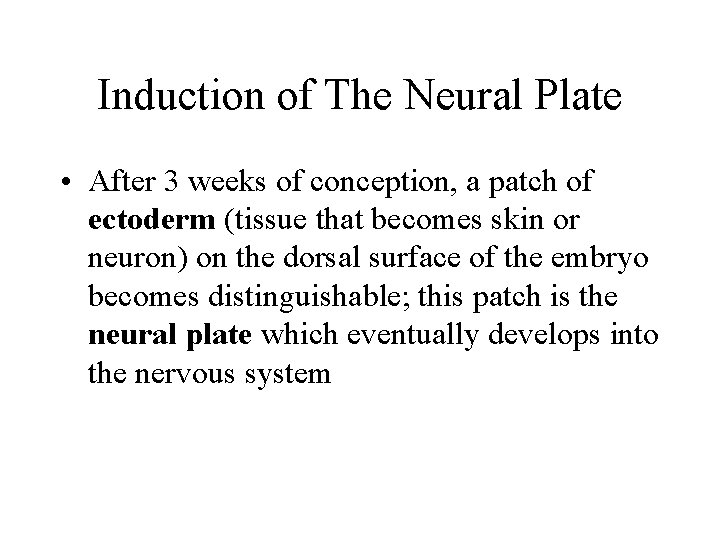 Induction of The Neural Plate • After 3 weeks of conception, a patch of