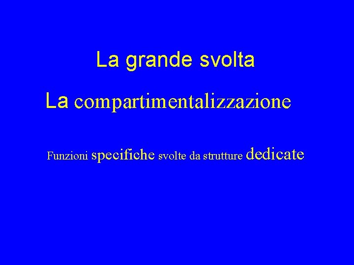 La grande svolta La compartimentalizzazione Funzioni specifiche svolte da strutture dedicate 