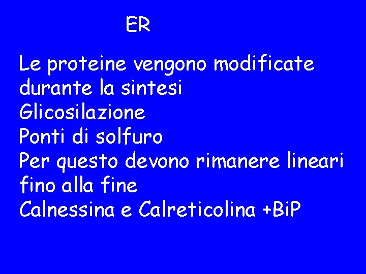 ER Le proteine vengono modificate durante la sintesi Glicosilazione Ponti di solfuro Per questo