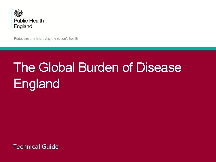 The Global Burden of Disease England Technical Guide 