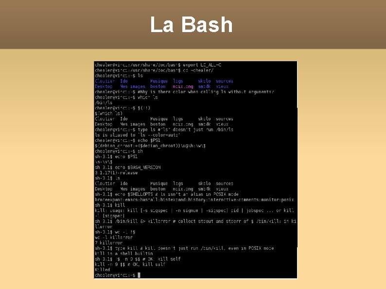 La Bash 