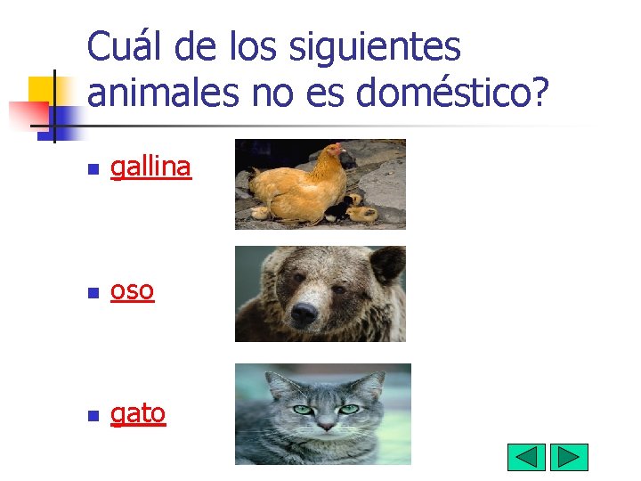 Cuál de los siguientes animales no es doméstico? n gallina n oso n gato