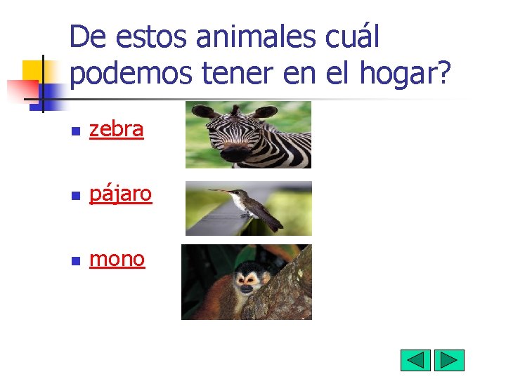 De estos animales cuál podemos tener en el hogar? n zebra n pájaro n