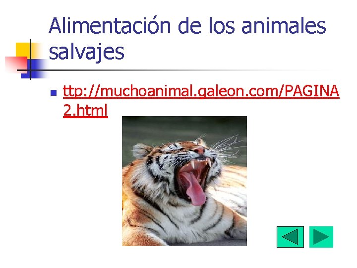 Alimentación de los animales salvajes n ttp: //muchoanimal. galeon. com/PAGINA 2. html <> 