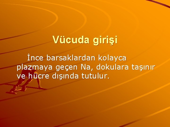 Vücuda girişi İnce barsaklardan kolayca plazmaya geçen Na, dokulara taşınır ve hücre dışında tutulur.