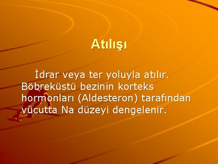 Atılışı İdrar veya ter yoluyla atılır. Böbreküstü bezinin korteks hormonları (Aldesteron) tarafından vücutta Na