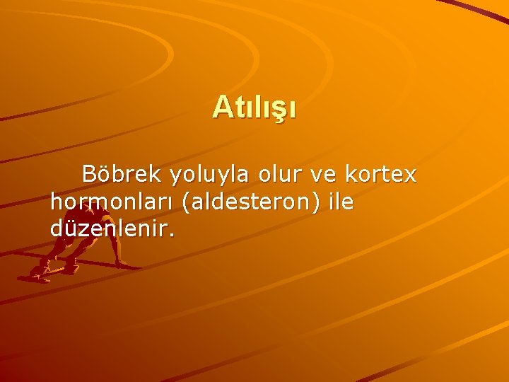 Atılışı Böbrek yoluyla olur ve kortex hormonları (aldesteron) ile düzenlenir. 