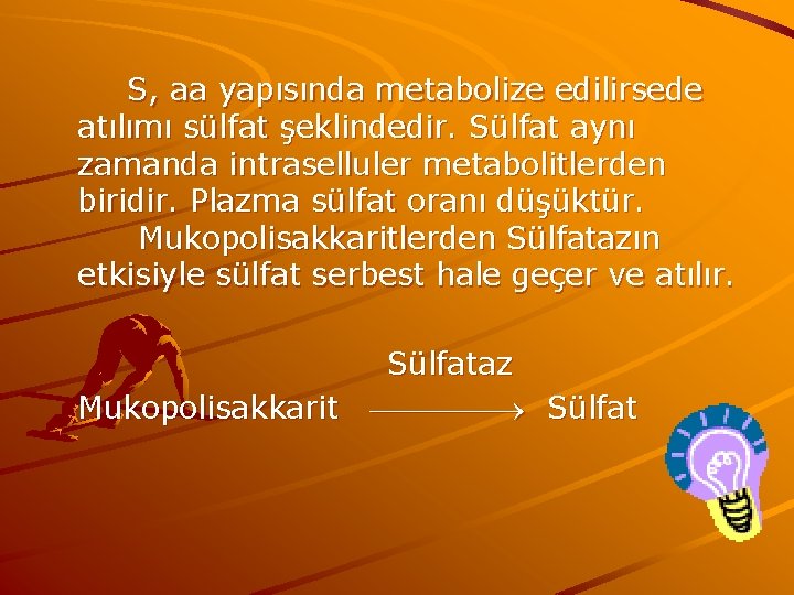 S, aa yapısında metabolize edilirsede atılımı sülfat şeklindedir. Sülfat aynı zamanda intraselluler metabolitlerden biridir.