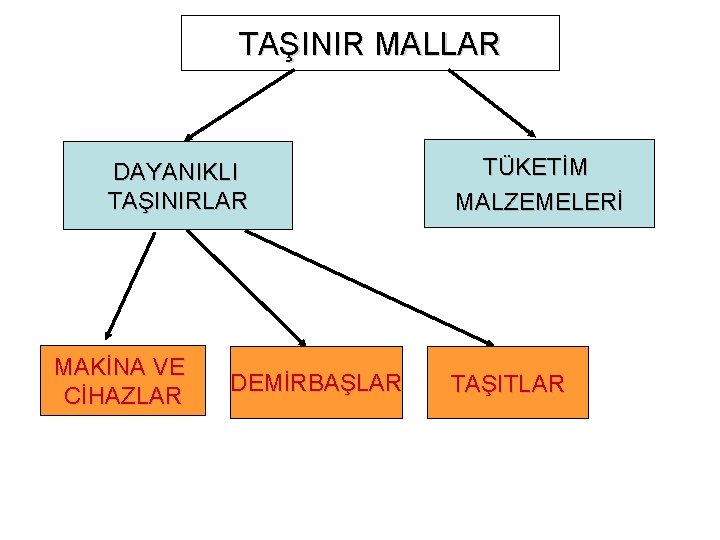 TAŞINIR MALLAR DAYANIKLI TAŞINIRLAR MAKİNA VE CİHAZLAR DEMİRBAŞLAR TÜKETİM MALZEMELERİ TAŞITLAR 