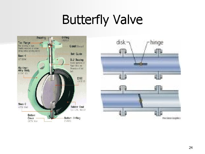 Butterfly Valve 24 