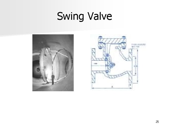 Swing Valve 25 