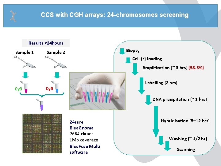CCS with CGH arrays: 24 -chromosomes screening Results <24 hours Sample 1 Biopsy Sample CCS with CGH arrays: 24 -chromosomes screening Results <24 hours Sample 1 Biopsy Sample