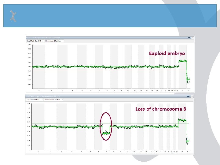 Euploid embryo Loss of chromosome 8 Euploid embryo Loss of chromosome 8