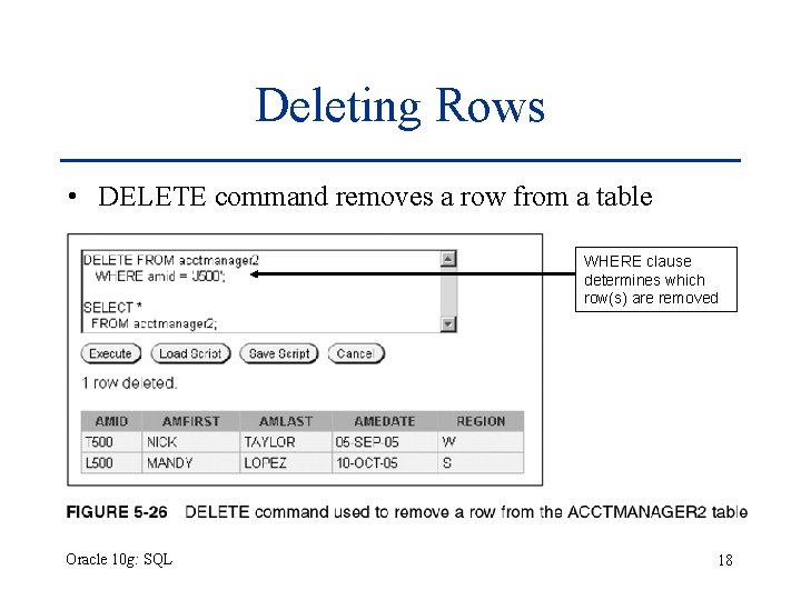 Deleting Rows • DELETE command removes a row from a table WHERE clause determines Deleting Rows • DELETE command removes a row from a table WHERE clause determines