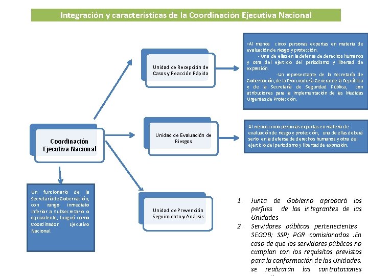 Integración y características de la Coordinación Ejecutiva Nacional • Al menos cinco personas expertas
