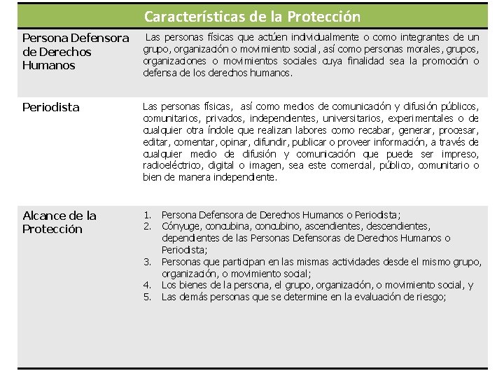 Características de la Protección Persona Defensora de Derechos Humanos Las personas físicas que actúen