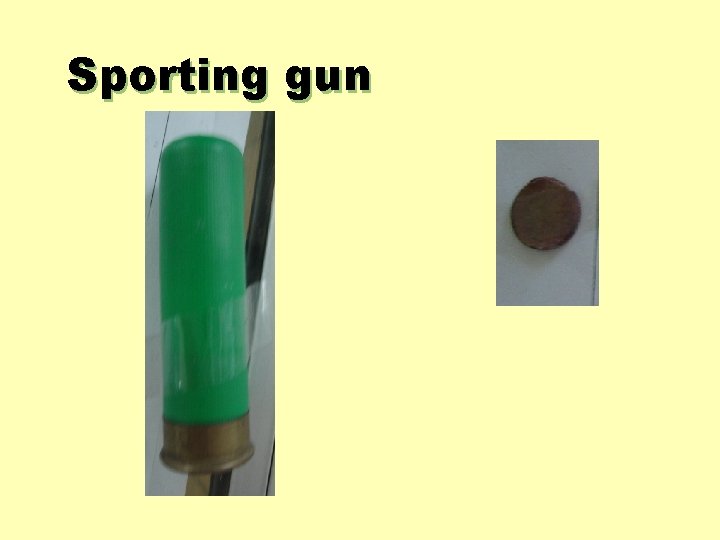 Sporting gun 