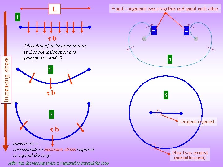 L + and segments come together and annul each other 1 + Increasing stress