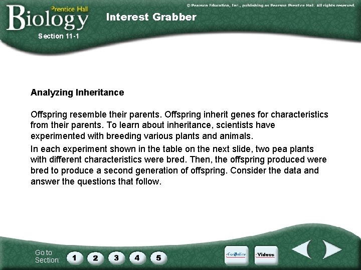 Interest Grabber Section 11 -1 Analyzing Inheritance Offspring resemble their parents. Offspring inherit genes