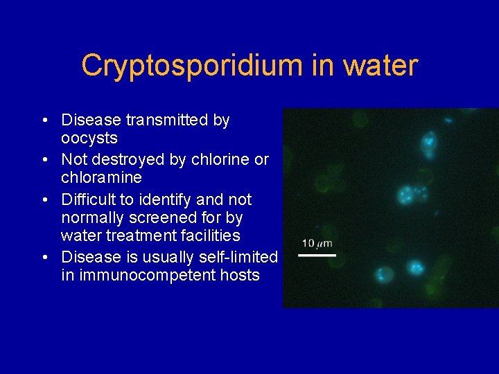 Cryptosporidium in water • Disease transmitted by oocysts • Not destroyed by chlorine or