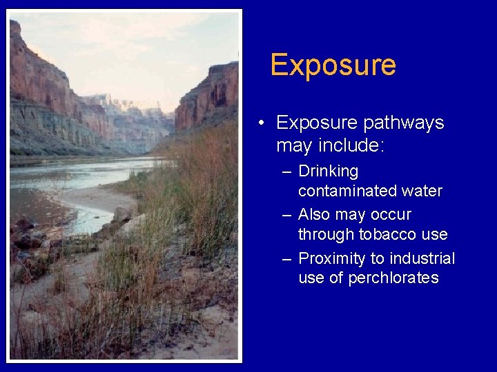 Exposure • Exposure pathways may include: – Drinking contaminated water – Also may occur