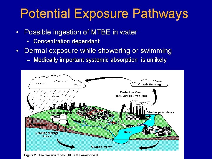 Potential Exposure Pathways • Possible ingestion of MTBE in water • Concentration dependant •