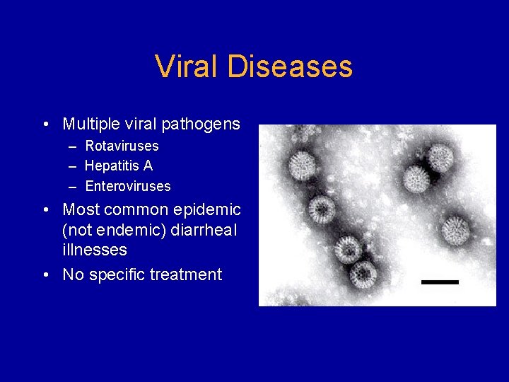 Viral Diseases • Multiple viral pathogens – Rotaviruses – Hepatitis A – Enteroviruses •