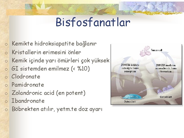 Bisfosfanatlar o Kemikte hidroksiapatite bağlanır o Kristallerin erimesini önler o Kemik içinde yarı ömürleri