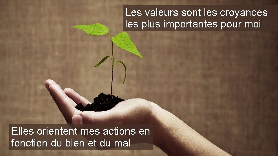 Les valeurs sont les croyances les plus importantes pour moi Elles orientent mes actions