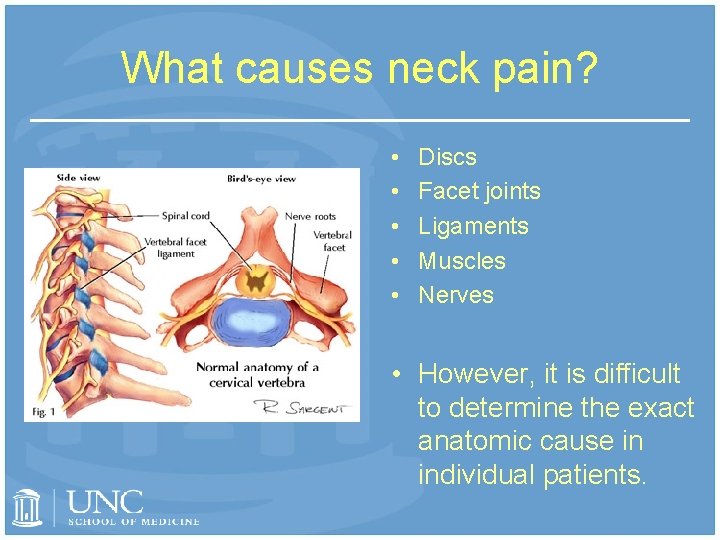 What causes neck pain? • • • Discs Facet joints Ligaments Muscles Nerves •