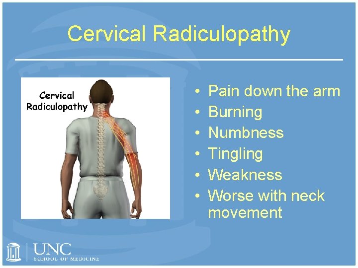 Cervical Radiculopathy • • • Pain down the arm Burning Numbness Tingling Weakness Worse