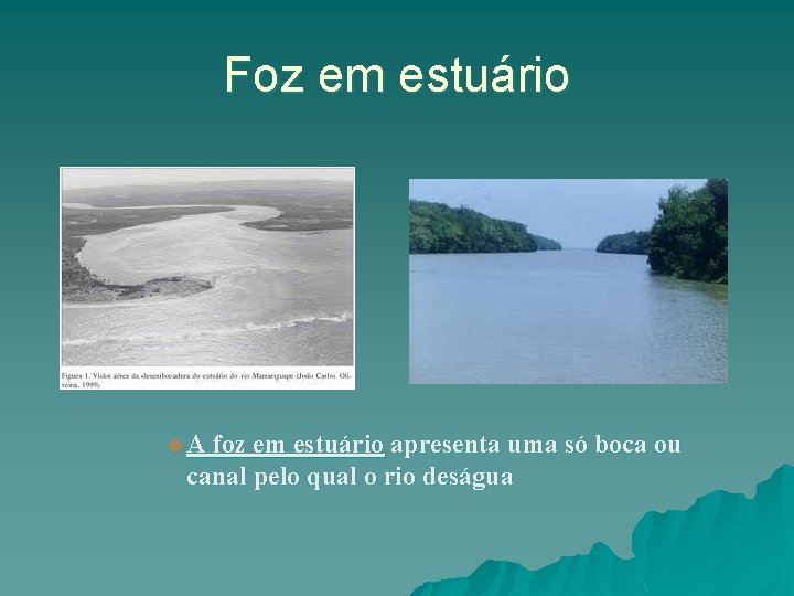 Foz em estuário u A foz em estuário apresenta uma só boca ou canal Foz em estuário u A foz em estuário apresenta uma só boca ou canal