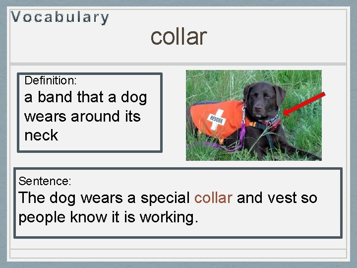 collar Definition: a band that a dog wears around its neck Sentence: The dog