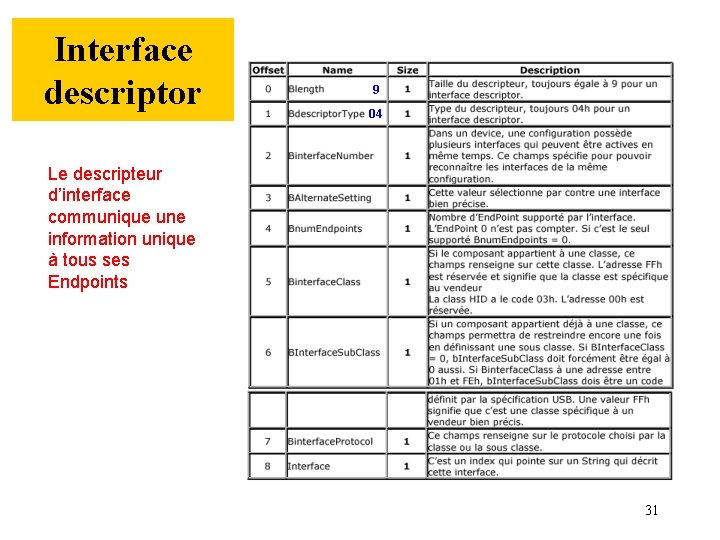 Interface descriptor 9 04 Le descripteur d’interface communique une information unique à tous ses