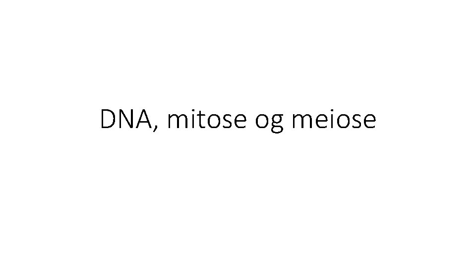 DNA, mitose og meiose 