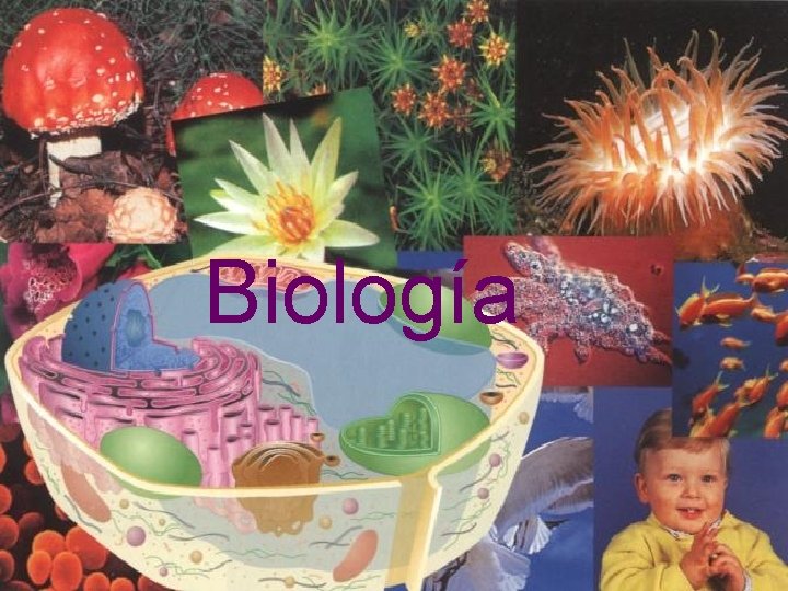 Biología 