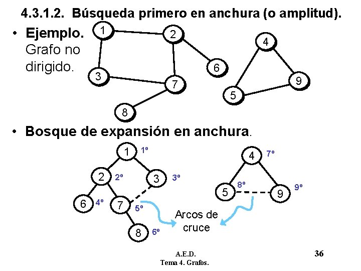 4. 3. 1. 2. Búsqueda primero en anchura (o amplitud). • Ejemplo. Grafo no 4. 3. 1. 2. Búsqueda primero en anchura (o amplitud). • Ejemplo. Grafo no
