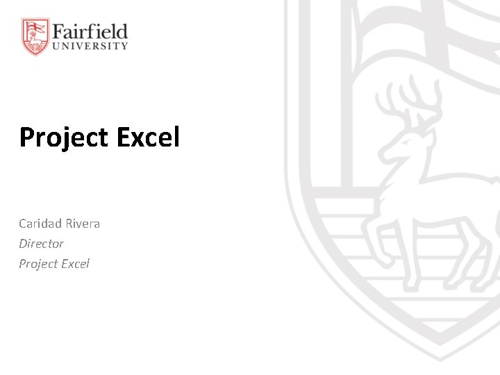 Project Excel Caridad Rivera Director Project Excel 