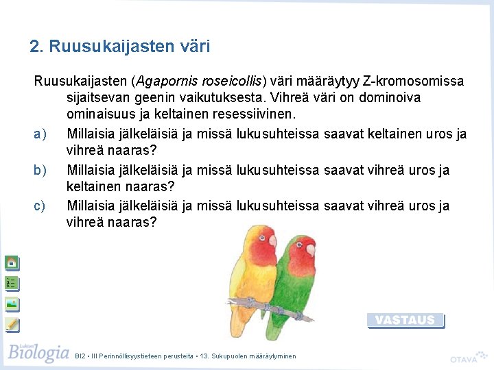 2. Ruusukaijasten väri Ruusukaijasten (Agapornis roseicollis) väri määräytyy Z-kromosomissa sijaitsevan geenin vaikutuksesta. Vihreä väri 2. Ruusukaijasten väri Ruusukaijasten (Agapornis roseicollis) väri määräytyy Z-kromosomissa sijaitsevan geenin vaikutuksesta. Vihreä väri