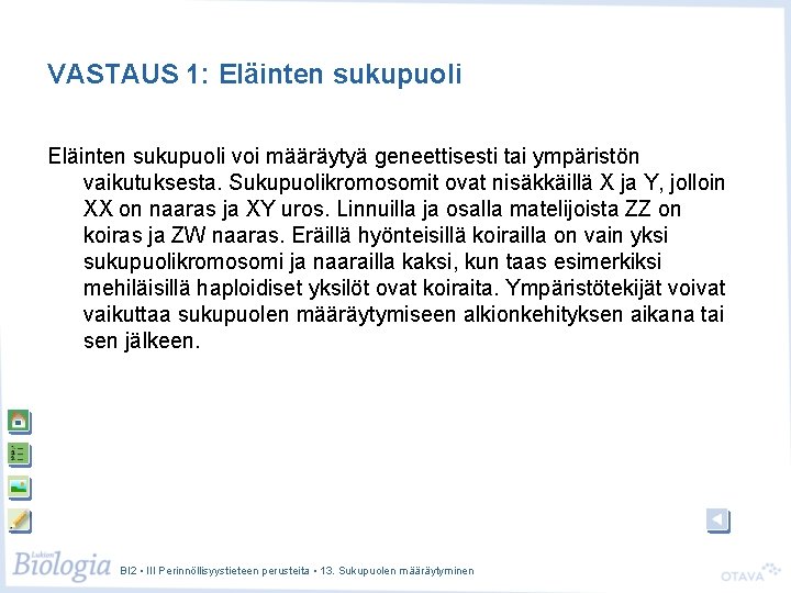 VASTAUS 1: Eläinten sukupuoli voi määräytyä geneettisesti tai ympäristön vaikutuksesta. Sukupuolikromosomit ovat nisäkkäillä X VASTAUS 1: Eläinten sukupuoli voi määräytyä geneettisesti tai ympäristön vaikutuksesta. Sukupuolikromosomit ovat nisäkkäillä X