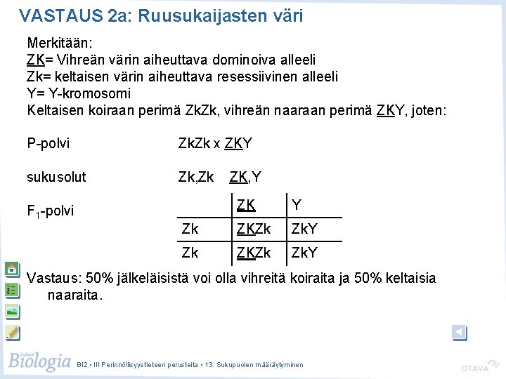 VASTAUS 2 a: Ruusukaijasten väri Merkitään: ZK= Vihreän värin aiheuttava dominoiva alleeli Zk= keltaisen VASTAUS 2 a: Ruusukaijasten väri Merkitään: ZK= Vihreän värin aiheuttava dominoiva alleeli Zk= keltaisen