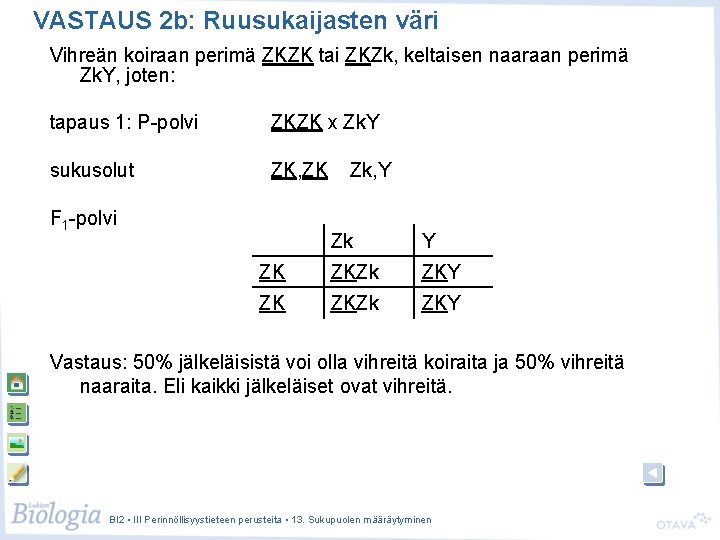 VASTAUS 2 b: Ruusukaijasten väri Vihreän koiraan perimä ZKZK tai ZKZk, keltaisen naaraan perimä VASTAUS 2 b: Ruusukaijasten väri Vihreän koiraan perimä ZKZK tai ZKZk, keltaisen naaraan perimä