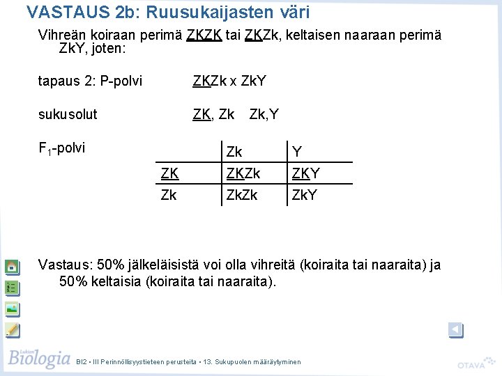VASTAUS 2 b: Ruusukaijasten väri Vihreän koiraan perimä ZKZK tai ZKZk, keltaisen naaraan perimä VASTAUS 2 b: Ruusukaijasten väri Vihreän koiraan perimä ZKZK tai ZKZk, keltaisen naaraan perimä
