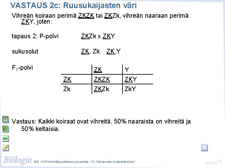 VASTAUS 2 c: Ruusukaijasten väri Vihreän koiraan perimä ZKZK tai ZKZk, vihreän naaraan perimä VASTAUS 2 c: Ruusukaijasten väri Vihreän koiraan perimä ZKZK tai ZKZk, vihreän naaraan perimä