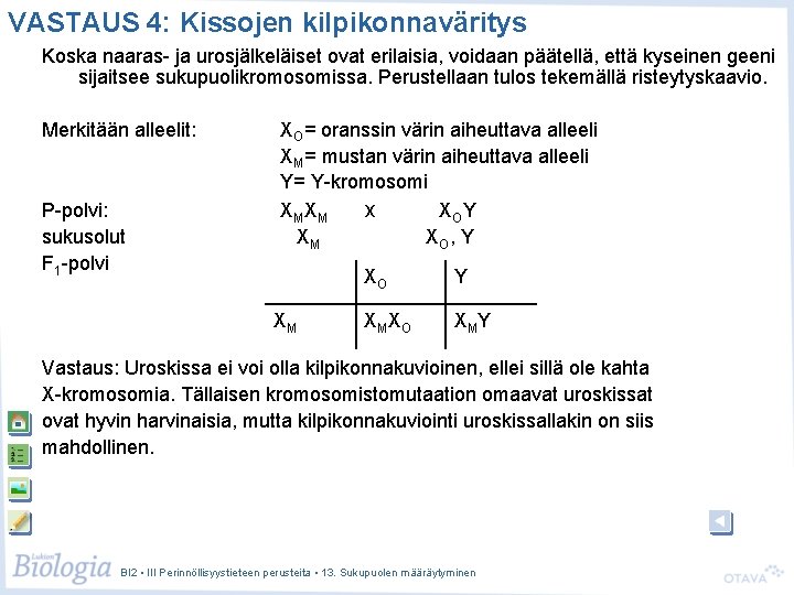 VASTAUS 4: Kissojen kilpikonnaväritys Koska naaras- ja urosjälkeläiset ovat erilaisia, voidaan päätellä, että kyseinen VASTAUS 4: Kissojen kilpikonnaväritys Koska naaras- ja urosjälkeläiset ovat erilaisia, voidaan päätellä, että kyseinen