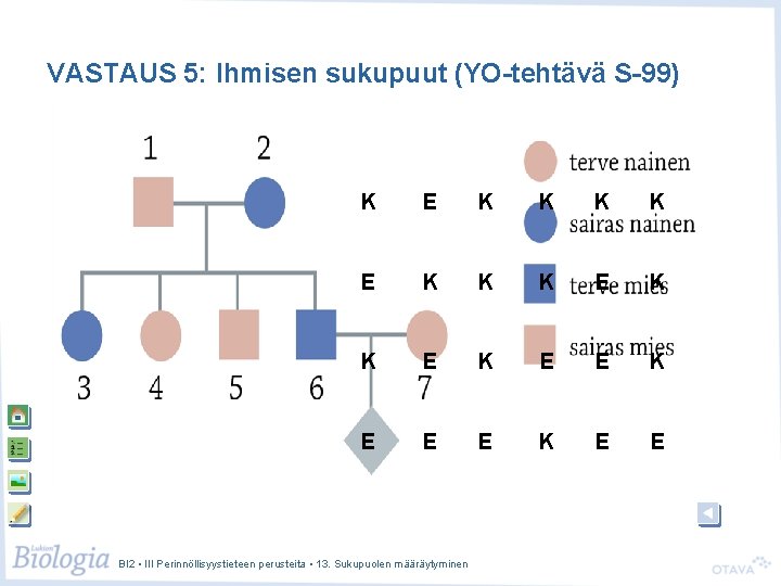 VASTAUS 5: Ihmisen sukupuut (YO-tehtävä S-99) K E K K E E K E VASTAUS 5: Ihmisen sukupuut (YO-tehtävä S-99) K E K K E E K E