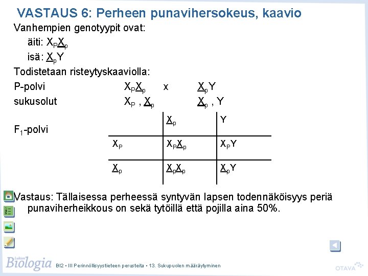 VASTAUS 6: Perheen punavihersokeus, kaavio Vanhempien genotyypit ovat: äiti: XPXp isä: Xp. Y Todistetaan VASTAUS 6: Perheen punavihersokeus, kaavio Vanhempien genotyypit ovat: äiti: XPXp isä: Xp. Y Todistetaan